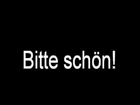 bitte schon means|bitte schön or bitteschön.